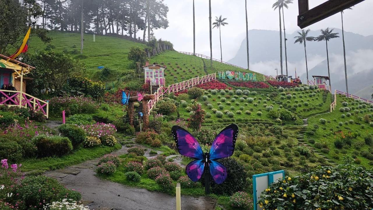 Casa Campo Valle De Cocora 살렌토 외부 사진