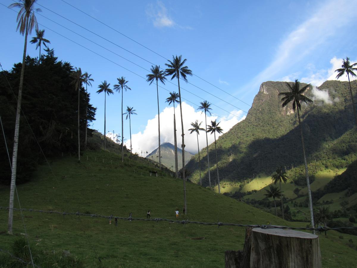 살렌토 Casa Campo Valle De Cocora 빌라 외부 사진