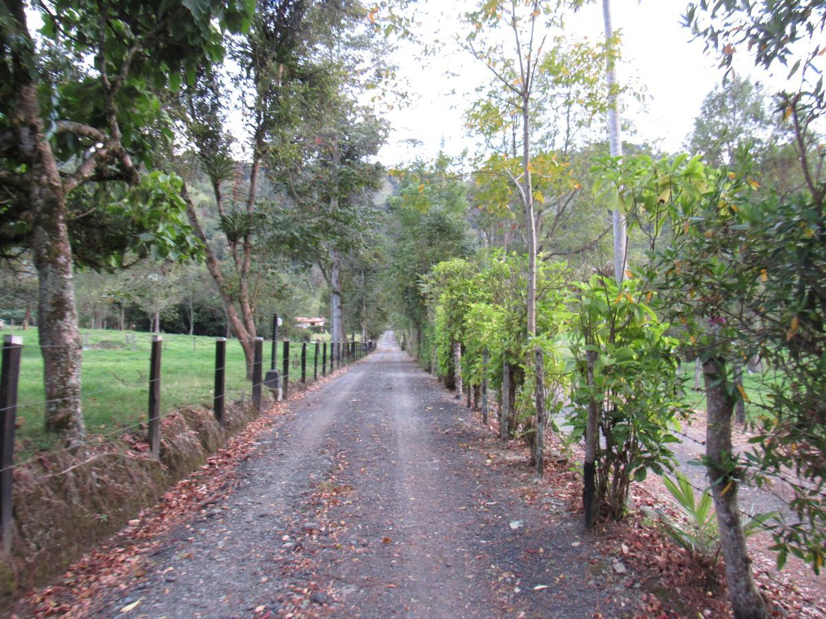 살렌토 Casa Campo Valle De Cocora 빌라 외부 사진